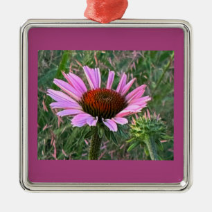 De Metal Ornamento do ConEFlower Roxo