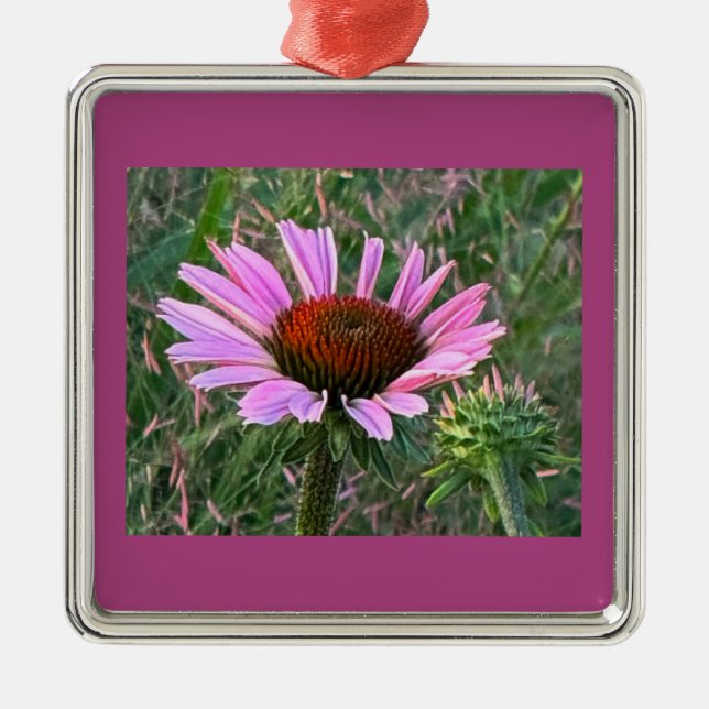 De Metal Ornamento do ConEFlower Roxo (Frente)