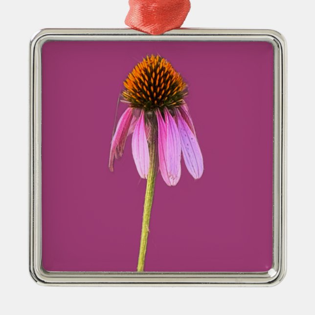 De Metal Ornamento do ConEFlower Roxo (Frente)