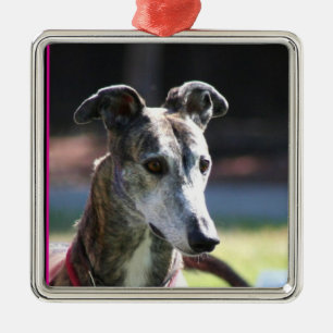 De Metal Ornamento do galgo