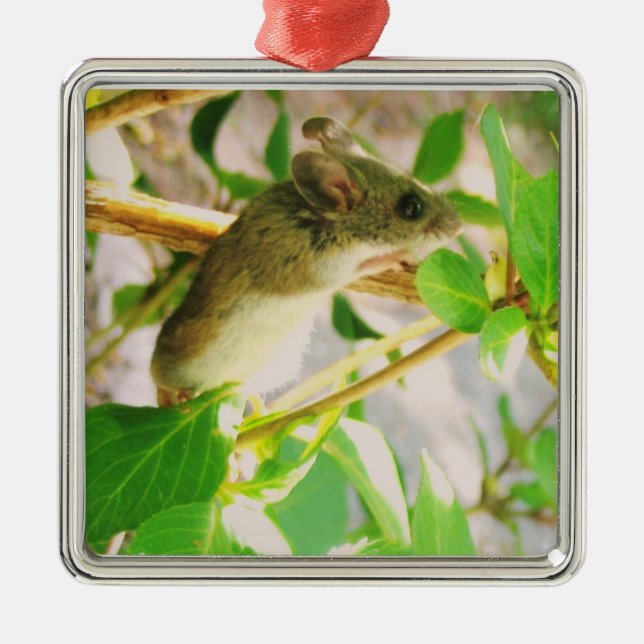 De Metal Ornamento do mouse (Frente)