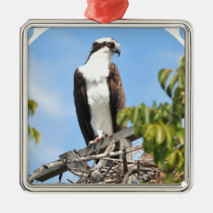 De Metal Ornamento do Osprey