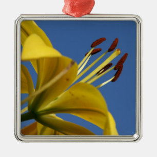 De Metal Ornamento Lily Amarelo