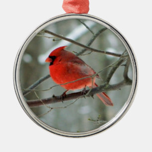 De Metal Ornamento Premium do Cardeal Vermelho