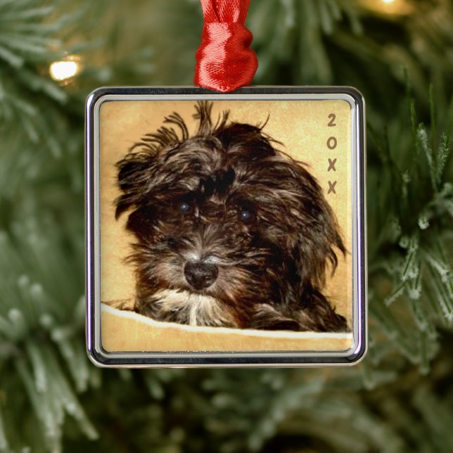 De Metal Ornamento Quadrado Schnoodle Premium (Árvore)