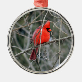 De Metal Ornamento Real Red Cardinal Premium