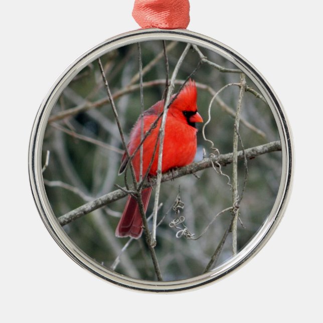 De Metal Ornamento Real Red Cardinal Premium (Frente)