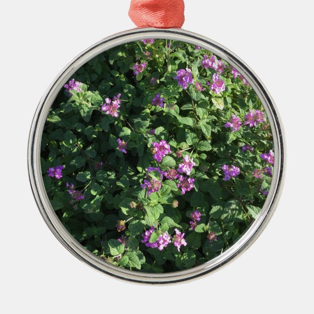 De Metal Ornamento redondo (Frente)