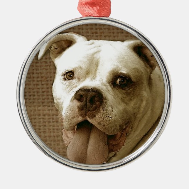De Metal Ornamento redondo do buldogue americano (Frente)