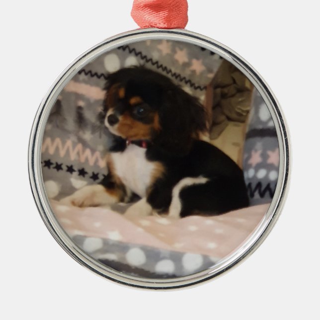 De Metal Ornamento Redondo Premium (Frente)