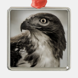 De Metal ornamento Vermelho-atado do falcão
