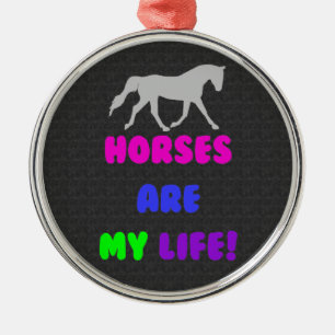 De Metal Os cavalos bonitos são meu ornamento da vida