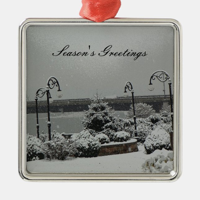 De Metal Parque do beira-rio do ornamento (Frente)