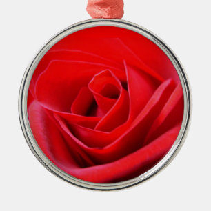 De Metal rosa vermelha Ornamento Romântico Rosa