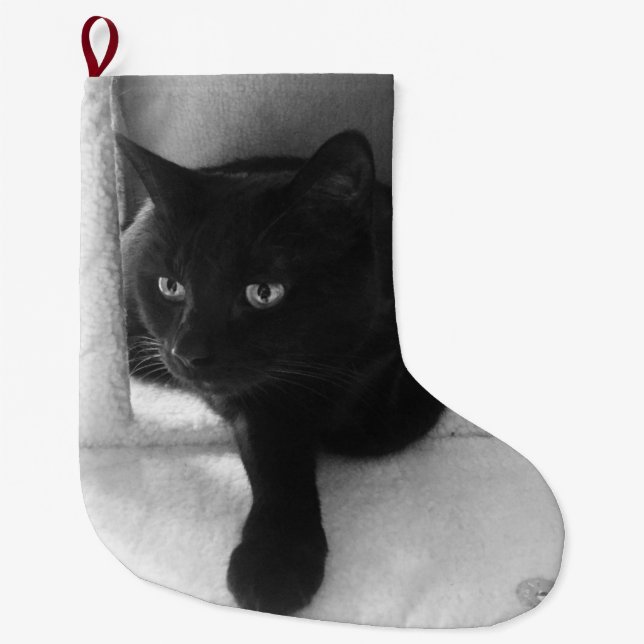 De Natal Grande Meia curiosa do gato preto (Frente)