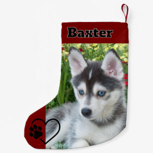 De Natal Pequena Meia Personalizada com Foto Vermelha do Cachorro e