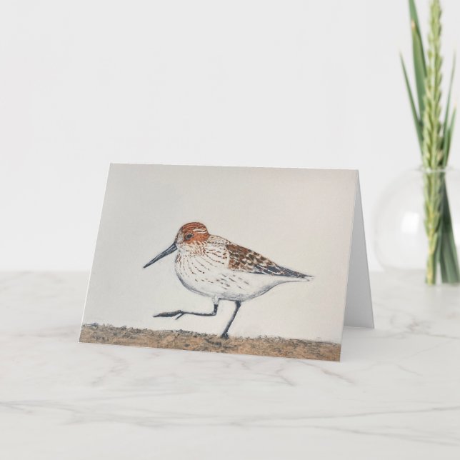 De Notas Cartão Dobrado Sandpiper (Frente)