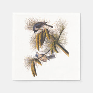 De Papel Audubon Crested guardanapo do cocktail do Titmouse