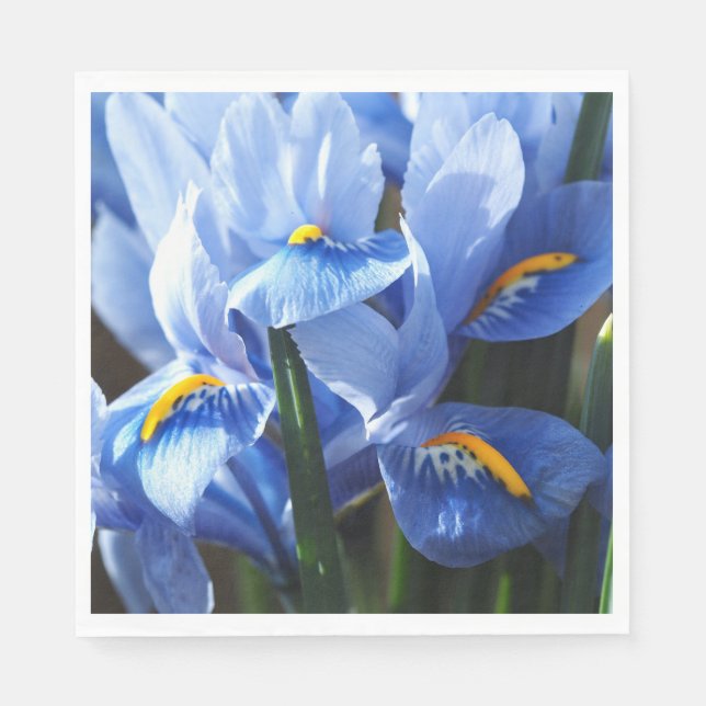 De Papel guardanapo azul bonito da íris (Frente)