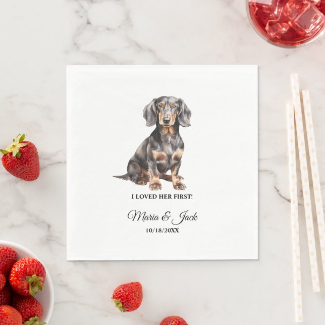 De Papel Guardanapo do Primeiro Casamento do Dachshund que  (Insitu)