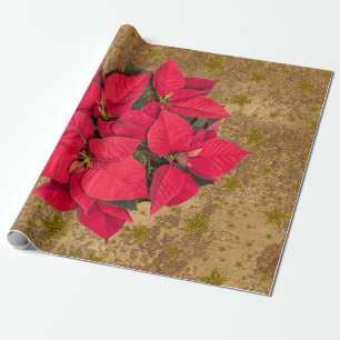 De Presente A flor vermelha do Natal, ouro stars no papel