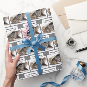De Presente Aniversário Tabby Cat em Papel Bag