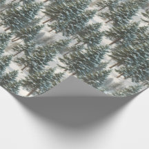 Bonito Scotch Pine Tree Papel Festivo