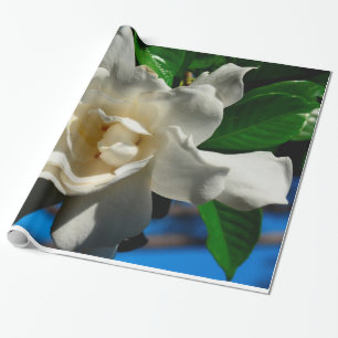 De Presente Fique sozinho Magnolia Enrolando papel - Exibição