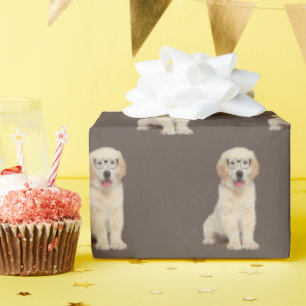 De Presente Ouro Retriever Puppy Com Óculos Enrolando Papel