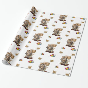 De Presente Papel Brilhante, Gatinho Gato Condo Yarn