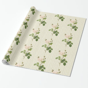 De Presente Papel Brilhante, Rosas beges