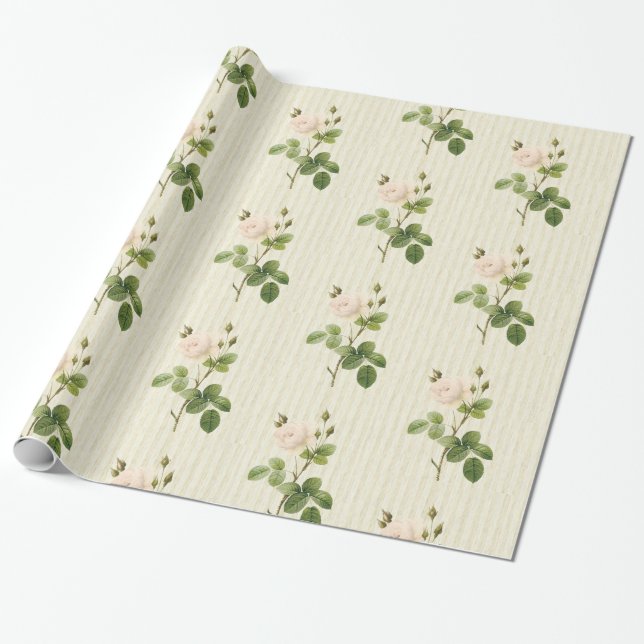 De Presente Papel Brilhante, Rosas beges (Desenrolado)
