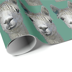 De Presente Papel da alpaca