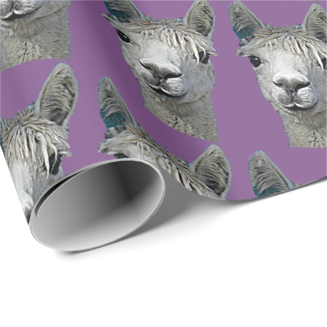 De Presente Papel da alpaca no malva (Ponta do rolo)