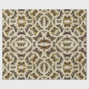 De Presente Papel Vintage Moths Wrapap