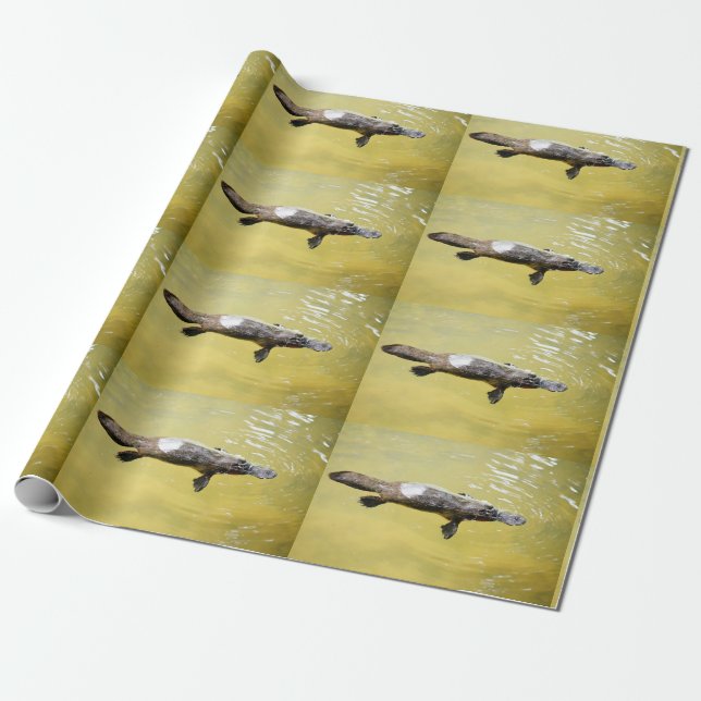 DE PRESENTE PLATYPUS AUSTRÁLIA WRAPPING PAPEL (Desenrolado)