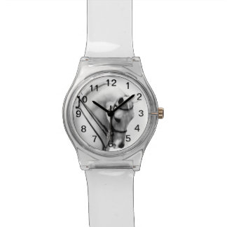 De Pulso Relógio árabe majestoso do cavalo