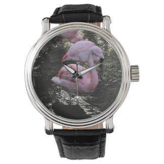 De Pulso relógio Flamingo