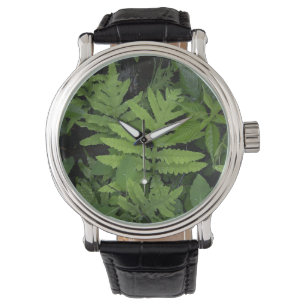 De Pulso Relógio verde da samambaia