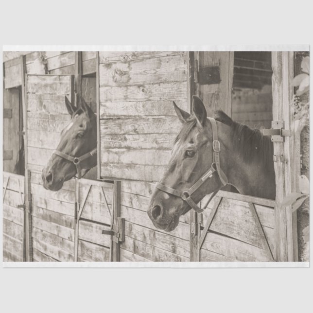 De Seda antigo papel tecidular estável para cavalos (Frente )