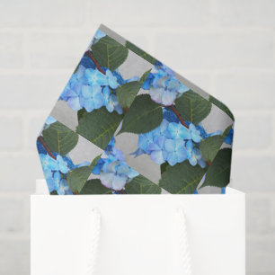De Seda Azul Lacecap Hydrangea Papel Padrão Floral