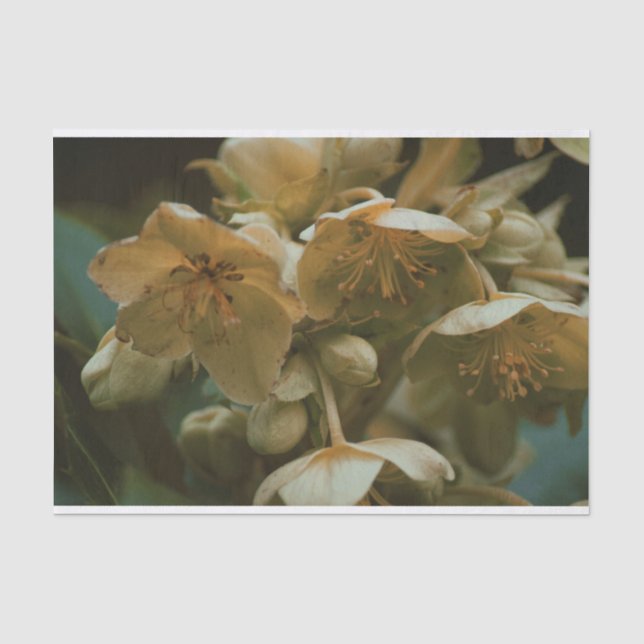 De Seda Bonito papel tecidos florais (Frente )