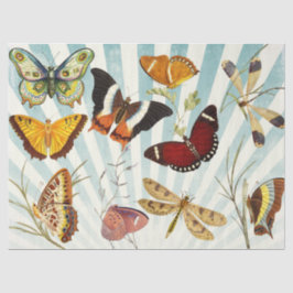 De Seda Borboleta Vintage e Papel Tecido Dragonfly