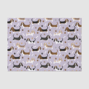 De Seda Cachorro Cachorro-Basset e Papel Tecidual das Pinç