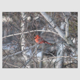 De Seda Cardeal 2926 - Papel Tecido