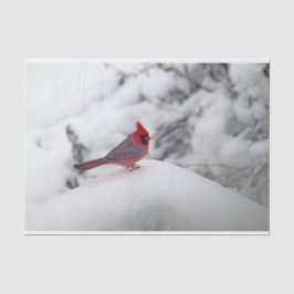 De Seda Cardeal 6239 Papel Tecido