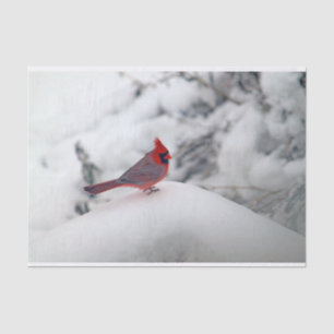 De Seda Cardeal 6239 Papel Tecido