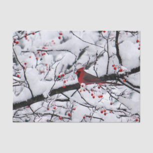 De Seda Cardeal 6254 Papel Tecido