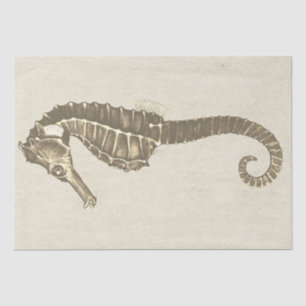 De Seda Cavalo da Vida Marinha no Papel Antiquado Beige
