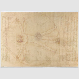 De Seda Da Vinci Papel Decoupage Homem Vitruviano